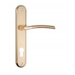 Дверная ручка на планке PZ Siba Lucca 62 мм золото матовое/золото (21 11)