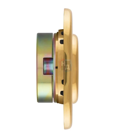Броненакладка врезная Disec CD2100 Contro OVAL внутренняя латунь pvd