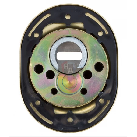 Броненакладка врезная Disec BDS16 Sferik OVAL+ROUND внешняя латунь полированная