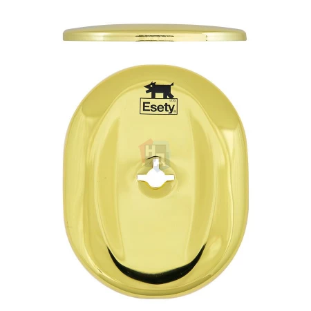 Декоративная накладка под ключ OMEGA ESETY A703 OVAL латунь pvd (без шторки)