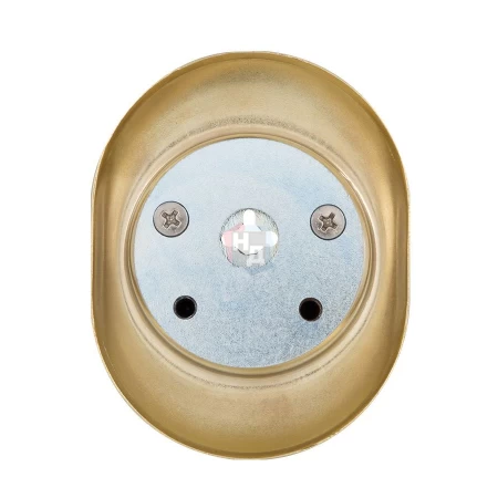 Броненакладка врезная Mul-T-Lock A625 OVAL внешняя латунь pvd (под ключ OMEGA)