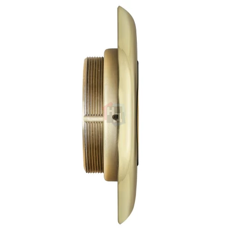 Броненакладка врезная Disec BD108 Monolito OVAL внешняя латунь pvd (под ключ OMEGA)