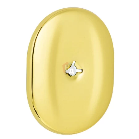 Декоративная накладка под ключ OMEGA Mul-T-Lock A703 OVAL латунь pvd (без шторки) без лого