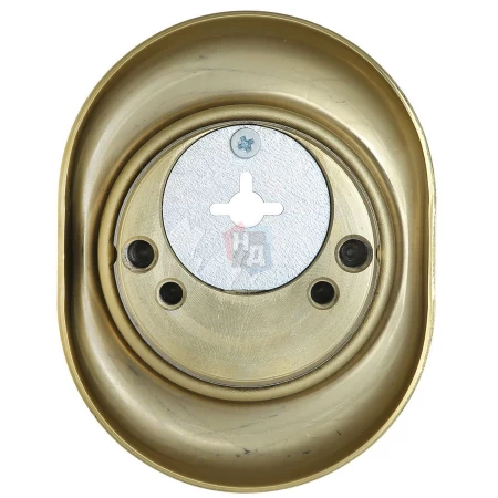 Броненакладка врезная Disec BD108 Monolito OVAL внешняя латунь pvd (под ключ OMEGA)
