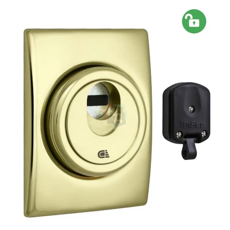 Броненакладка врезная Disec 3G2WB SQUARE внешняя латунь pvd