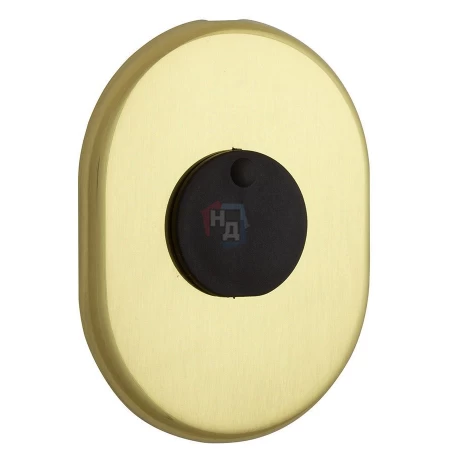 Декоративная накладка под сувальдный ключ Disec KT088 MATRIX OVAL латунь полированная (со шторкой)