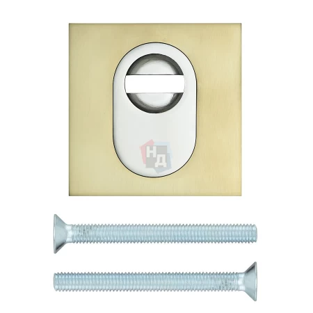 Броненакладка накладная Disec NX2F Guard Quadra SQUARE внешняя латунь pvd