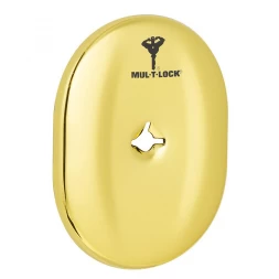 Декоративная накладка под ключ OMEGA Mul-T-Lock A703 OVAL латунь pvd (без шторки)