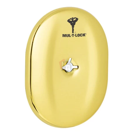 Декоративная накладка под ключ OMEGA Mul-T-Lock A703 OVAL латунь pvd (без шторки)