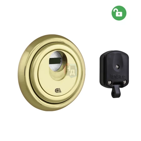 Броненакладка врезная Disec 3G2MM ROUND внешняя латунь pvd