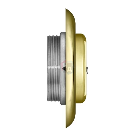 Броненакладка врезная Disec 4G2MB OVAL внешняя латунь pvd